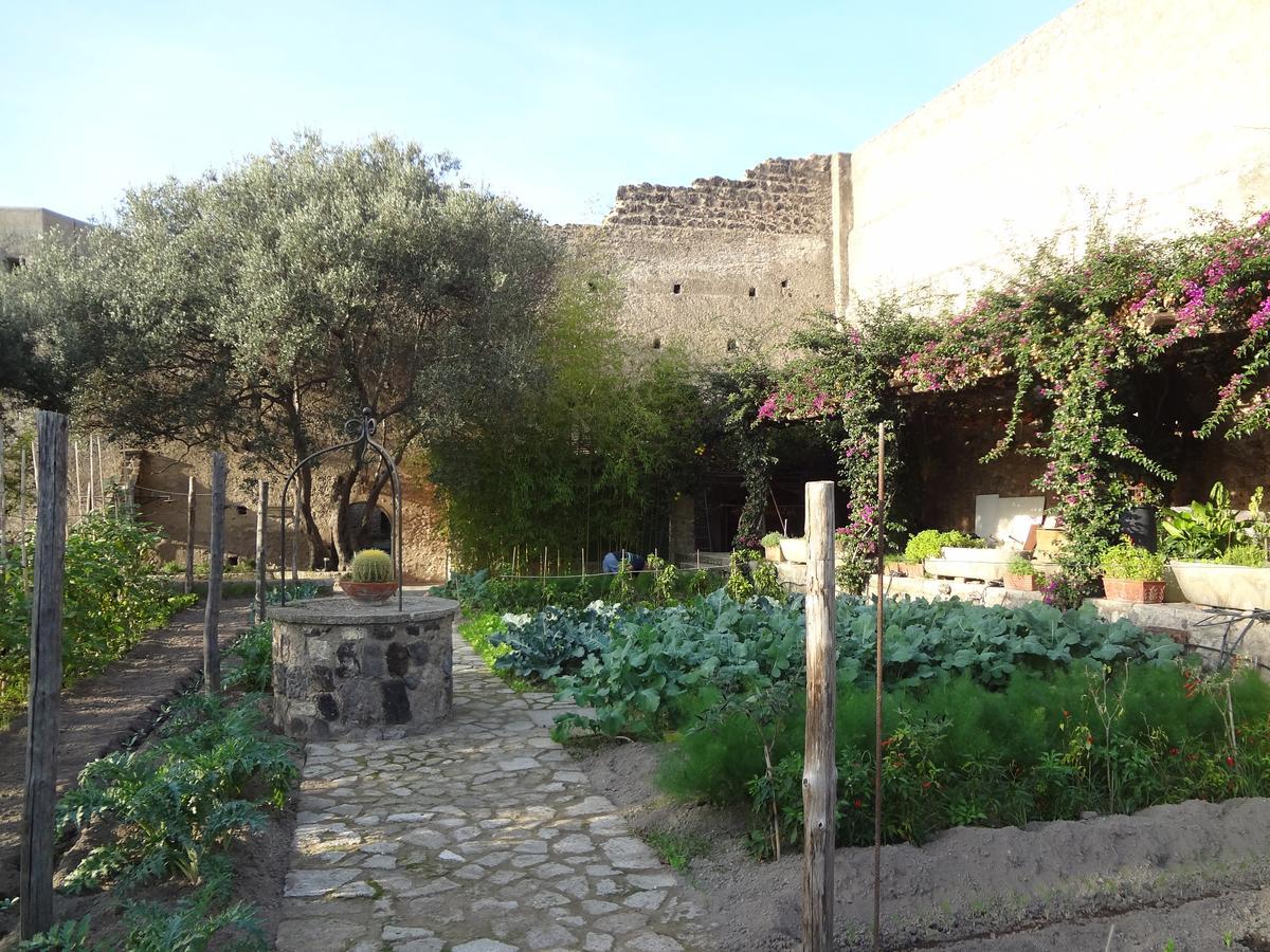 Albergo Il Monastero Ischia Zewnętrze zdjęcie
